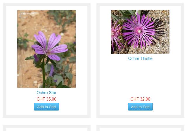 CSS Grid Layout